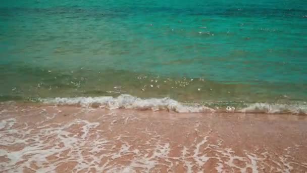 Le onde verdi trasparenti del mare si lavano tranquillamente sulla riva sabbiosa — Video Stock