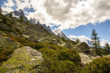 Fransız Alpleri 'nde yaz manzarası Larix ağaçları ve keskin tepeleriyle