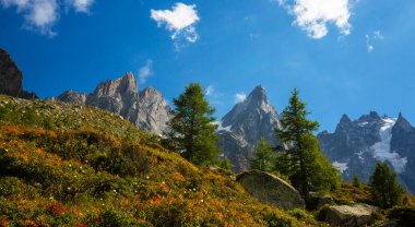 Fransız Alpleri 'nde yaz manzarası Larix ağaçları ve keskin tepeleriyle