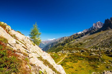 Fransız Alpleri 'nde yaz manzarası Larix ağaçları ve keskin tepeleriyle