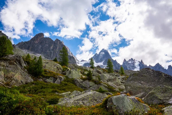 法国阿尔卑斯山的夏季风景 有落叶松和尖峰 — 图库照片