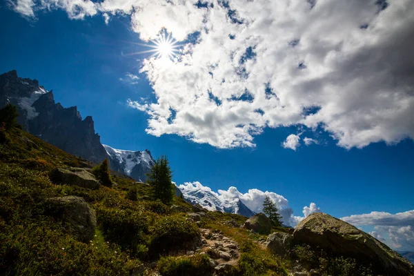 Paysages Estivaux Dans Les Alpes Françaises Avec Des Arbres Larix — Photo