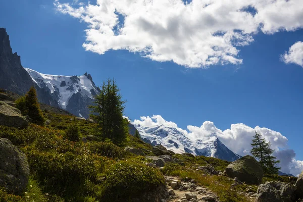 Fransız Alpleri Nde Yaz Manzarası Larix Ağaçları Keskin Tepeleriyle — Stok fotoğraf