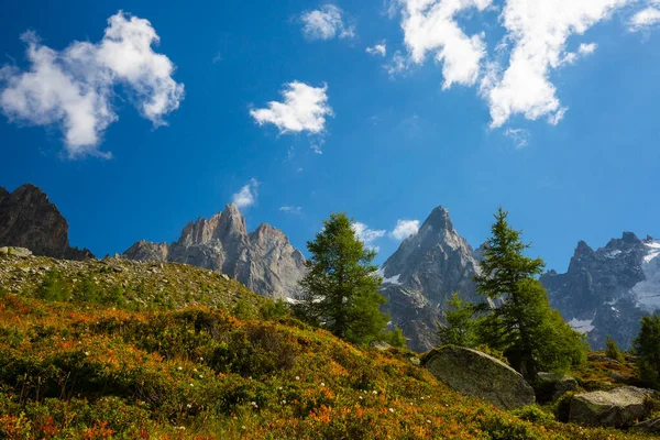 法国阿尔卑斯山的夏季风景 有落叶松和尖峰 — 图库照片