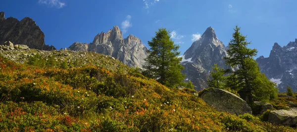 Sommarlandskap Franska Alperna Med Larixträd Och Skarpa Toppar — Stockfoto