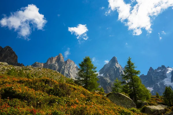 法国阿尔卑斯山的夏季风景 有落叶松和尖峰 — 图库照片