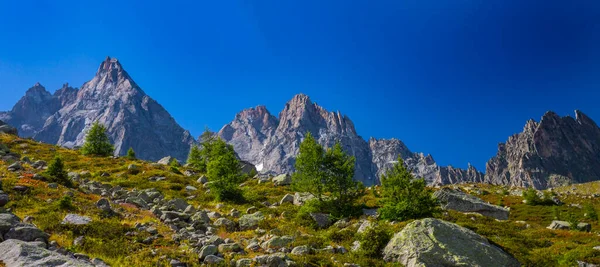 法国阿尔卑斯山的夏季风景 有落叶松和尖峰 — 图库照片