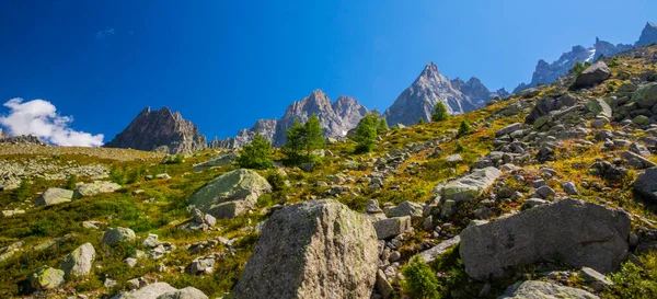 法国阿尔卑斯山的夏季风景 有落叶松和尖峰 — 图库照片