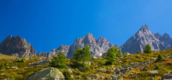 法国阿尔卑斯山的夏季风景 有落叶松和尖峰 — 图库照片