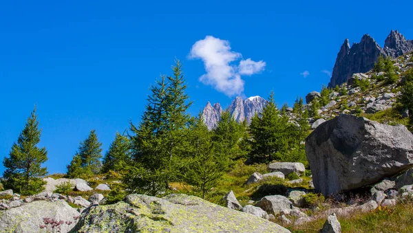 ラリックスの木と鋭いピークを持つフランスアルプスの夏の風景 — ストック写真