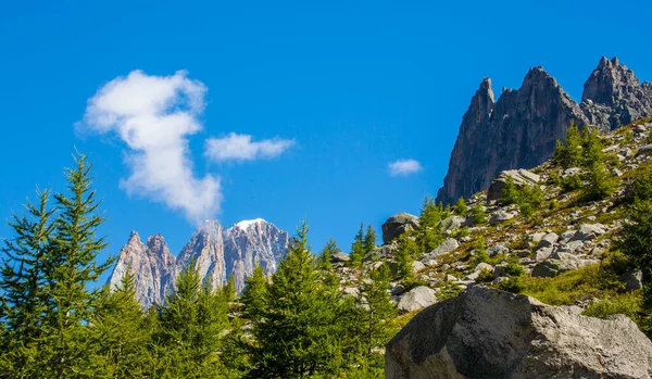 法国阿尔卑斯山的夏季风景 有落叶松和尖峰 — 图库照片