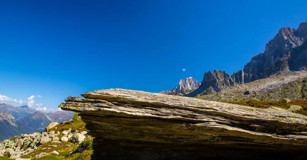 法国阿尔卑斯山的夏季风景 有落叶松和尖峰 — 图库照片