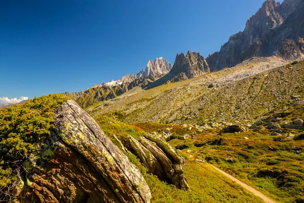 Sommerlandschaft Den Französischen Alpen Mit Larix Bäumen Und Scharfen Gipfeln — Stockfoto