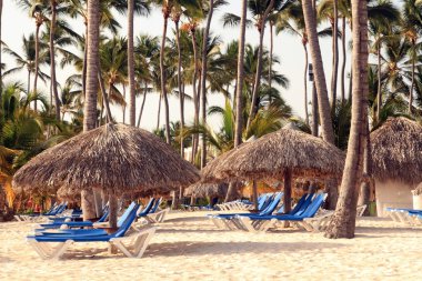 tropikal Karayipler resort beach