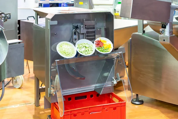 Sample Vegetable Fruit Bowl Process Chopping Automatic Commercial Vegetable Slicer — Stok fotoğraf
