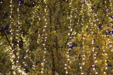 Gece festivalleri sezonunda bahçede asılı duran bulanık görüntü dekoratif dış mekan sicim ışıkları - dekoratif Noel ışıkları - mutlu yıllar 