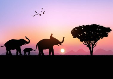 Siluet görüntü Fil mahout ile Kara fil dağ ve günbatımı arka planda yürüyor Akşam ışığı illüstrasyonu