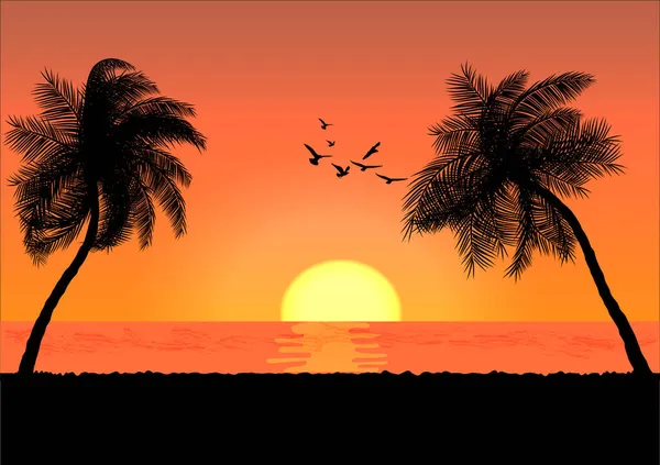 Landschap Uitzicht Tekening Palm Met Zonsondergang Zonsopgang Achtergrond Vector Illustratie — Stockvector