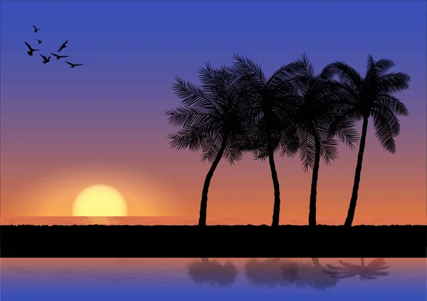 Landschap Uitzicht Tekening Palm Met Zonsondergang Zonsopgang Achtergrond Vector Illustratie — Stockvector