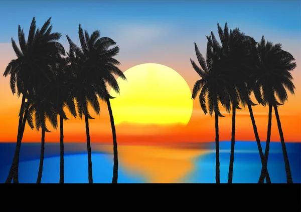 Landschap Uitzicht Tekening Palm Boom Zonsondergang Bij Oceaan Vector Illustratie — Stockvector