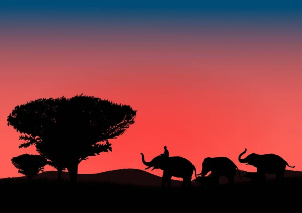 Изображение Силуэта Черный Слон Красным Слоном Прогулка Фоне Гор Заката — стоковый вектор