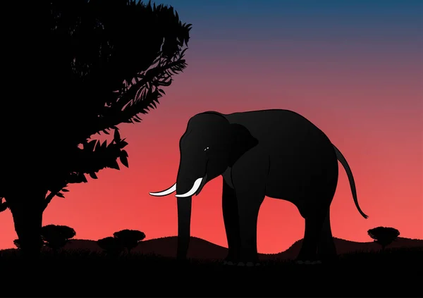 Silhueta Imagem Elefante Preto Andando Com Montanha Pôr Sol Fundo —  Vetores de Stock