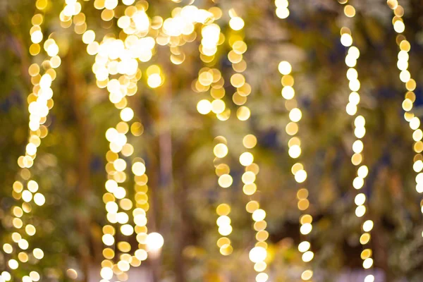 Luzes Decorativas Corda Livre Penduradas Árvore Jardim Noite — Fotografia de Stock