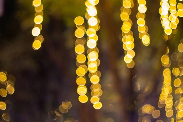 Dekorative Lichterketten Hängen Nachts Baum Garten — Stockfoto