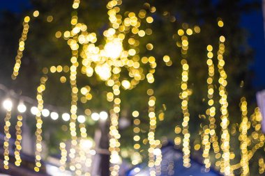 Bulanık Görüntü Dekoratif dış mekan iplik ışıkları geceleri bahçede ağaçta asılı duruyor 