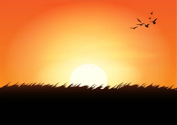 Dessin Graphique Vue Paysage Extérieur Coucher Soleil Avec Herbe Sur — Image vectorielle