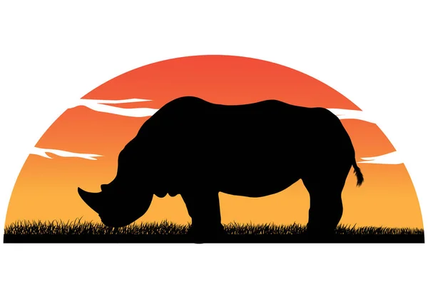 Graphics Drawing Silhouette Rhino Sunset Background Vector Illustration Isolated White — стоковый вектор
