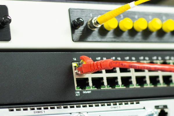 네트워크 케이블은 스위치의 포트를 연결하여 인터넷 네트워크 컨셉트 커뮤니케이션 기술을 — 스톡 사진