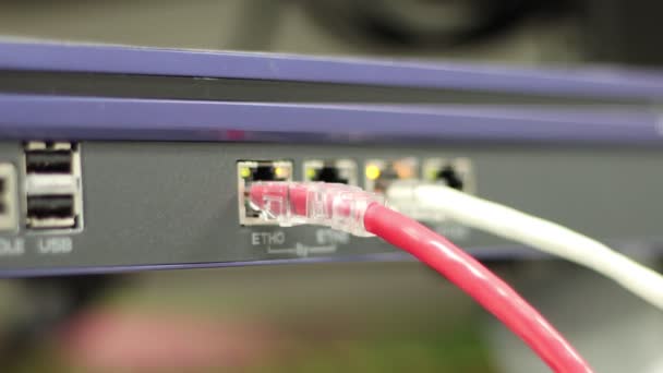 Los Cables Red Para Conectar Puerto Conmutador Para Conectar Red — Vídeos de Stock