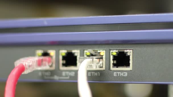 スイッチのポートを接続するネットワークケーブルは インターネットネットワーク 概念通信技術を接続します — ストック動画