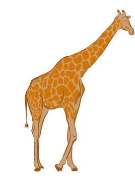 Grafikler zürafa vektör çizimi