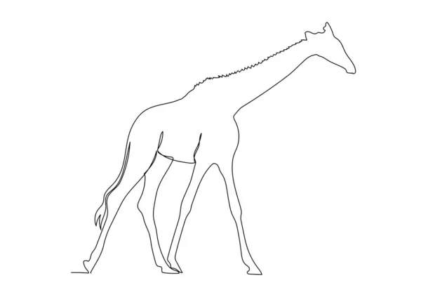 Continuous Line Drawing Giraffe Isolated White Background Vector Illustration — Vetor de Stock