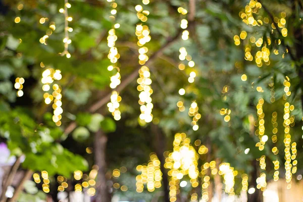花园树上挂着装饰的户外彩灯 — 图库照片