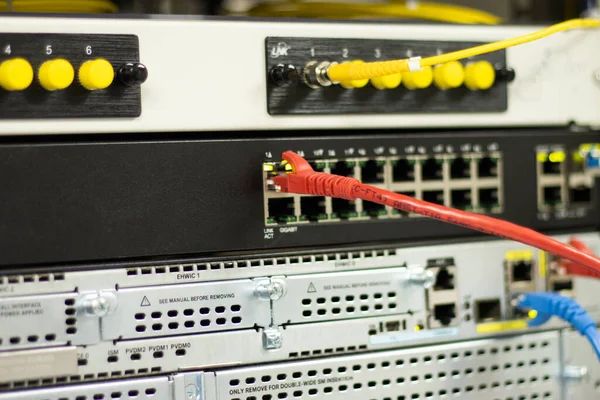 连接交换机端口的网络电缆连接互联网 概念通信技术 — 图库照片