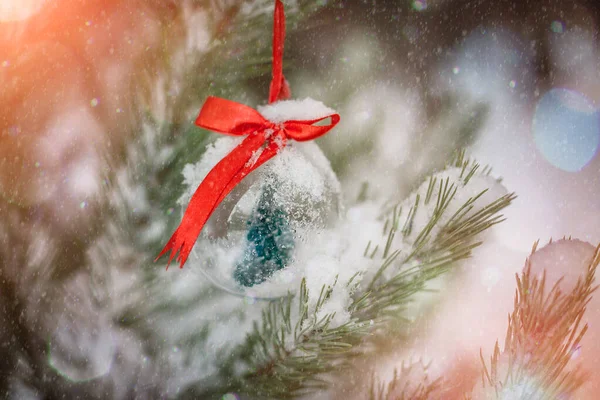 Рождественский Бал Красной Лентой Висящей Снежной Елке Лесу — стоковое фото