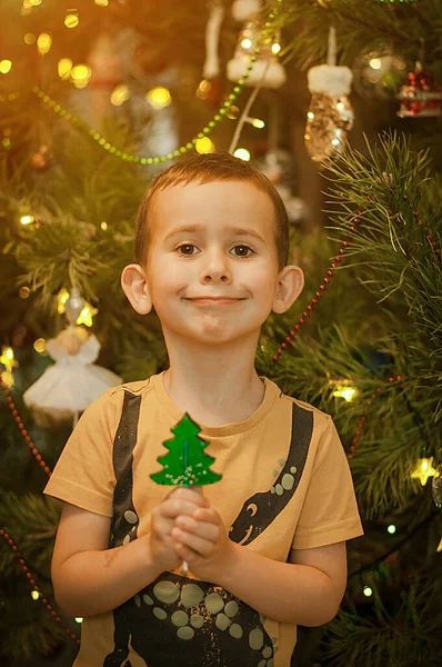 Kleine Jongen Hebben Plezier Buurt Van Een Kerstboom Met Een — Stockfoto