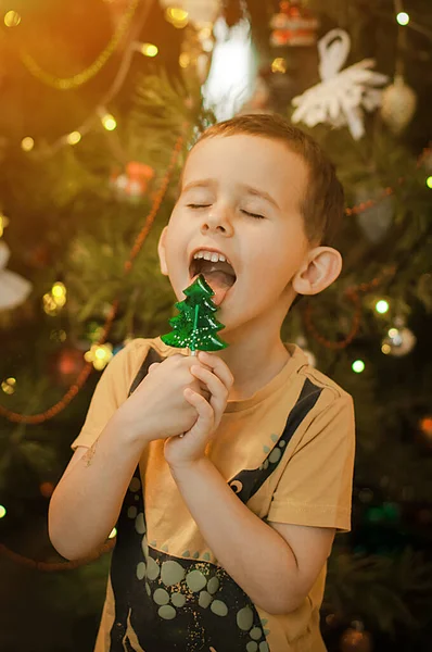 Kleine Jongen Hebben Plezier Buurt Van Een Kerstboom Met Een — Stockfoto