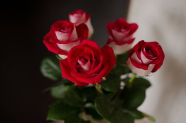 Bir buket kırmızı gül koyu arkaplanlı Romanti fotoğrafında. Seçici odak.