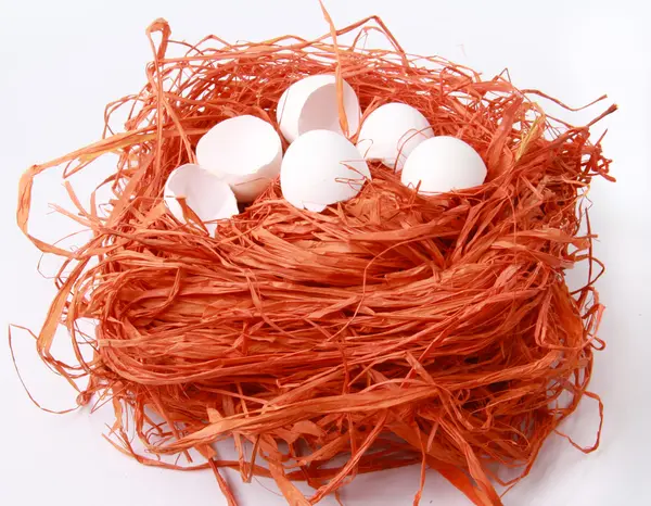Abstrakte Hintergrundtextur, natürliche orangefarbene Raffia. Nest mit kaputten Eiern — Stockfoto