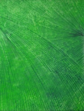 Elle çizilmiş boya arka plan: yeşil yaprak gibi desenleri