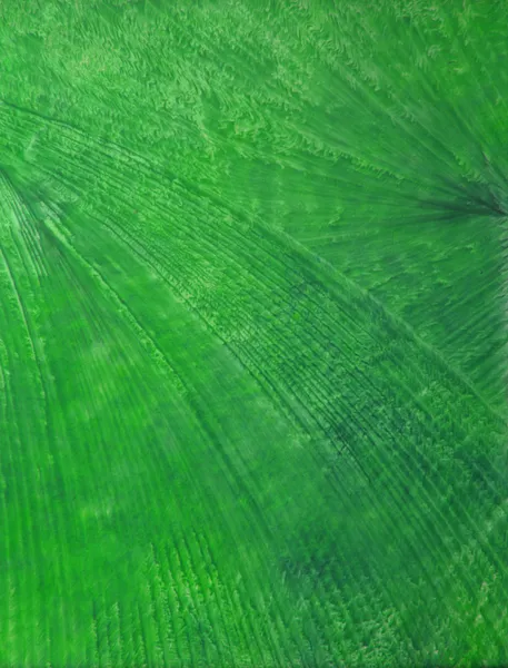 손으로 그린 페인트 배경 추상화: 녹색 잎 모양의 패턴 — 스톡 사진