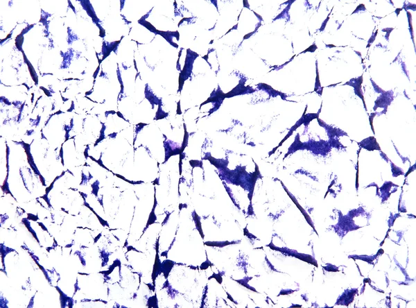 Абстрактная живопись / графика: сине-розовые узоры на белом — стоковое фото