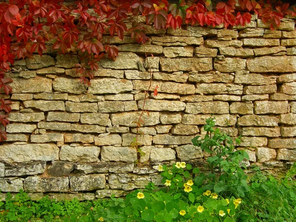 Vieja textura de pared de ladrillo irregular con vegetación de otoño —  Fotos de Stock