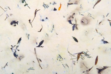 Geri dönüşümlü kağıt (Klasik)