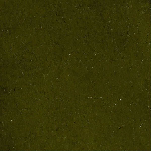 抽象的棕色或绿色多彩背景或与 grunge 纹理的纸张 — 图库照片