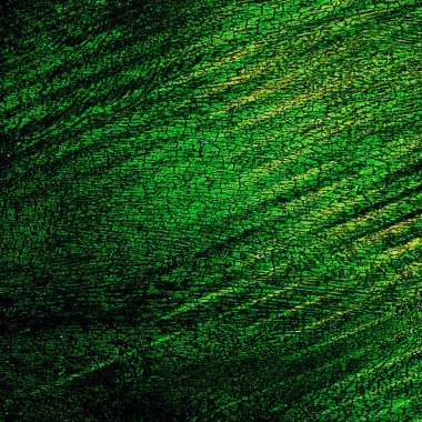 son derece ayrıntılı arka plan doku veya grunge